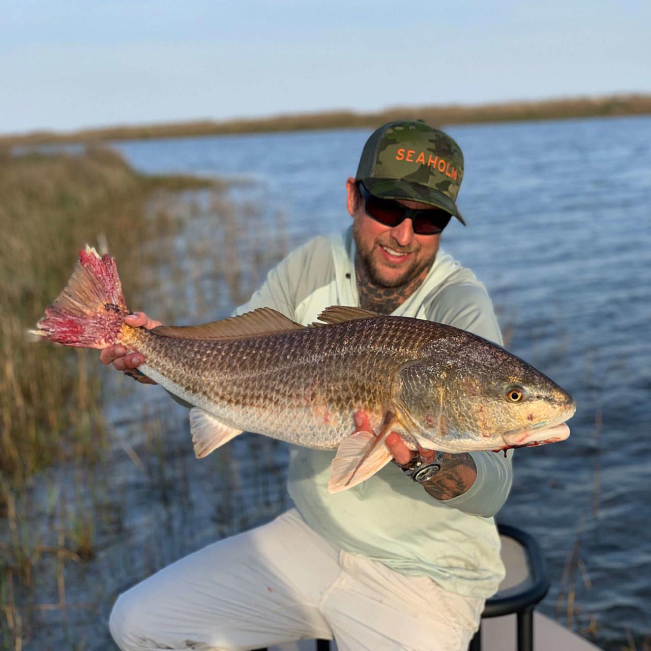 Redfish Caught In The Reeds